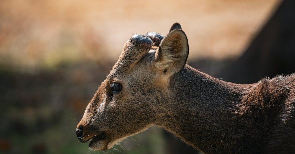 Explorez Les Possibilit s T l chargez Paint 3D Gratuitement explorez-les-possibilit-s-t-l-chargez-paint-3d-gratuitement