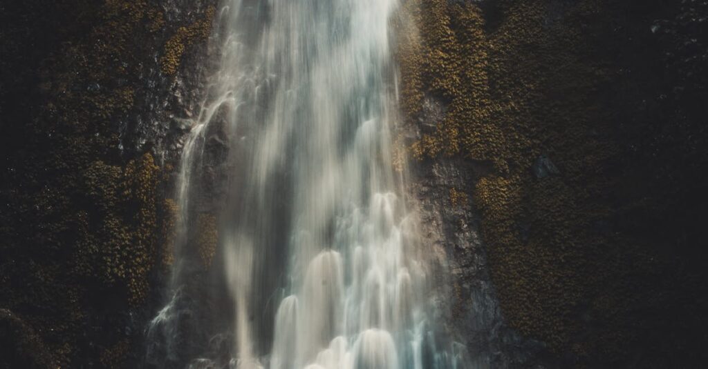 découvrez l'art de la retouche photo avec nos conseils et techniques. apprenez à améliorer vos images, à ajouter des effets créatifs et à donner vie à vos souvenirs grâce à des outils de photo editing simples et efficaces.