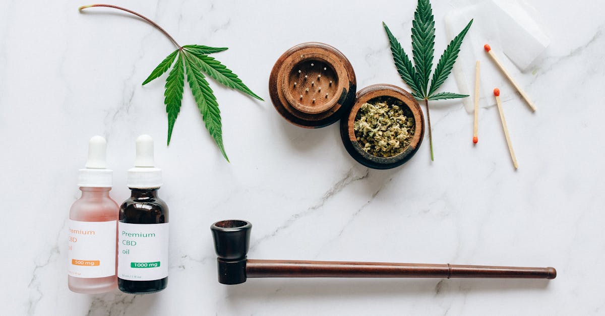 découvrez les meilleures techniques d'extraction pour maximiser le rendement de vos ressources. apprenez à maîtriser l'art d'extraire efficacement des substances essentielles tout en préservant la qualité. que vous soyez novice ou expert, nos conseils pratiques vous guideront vers l'efficacité.