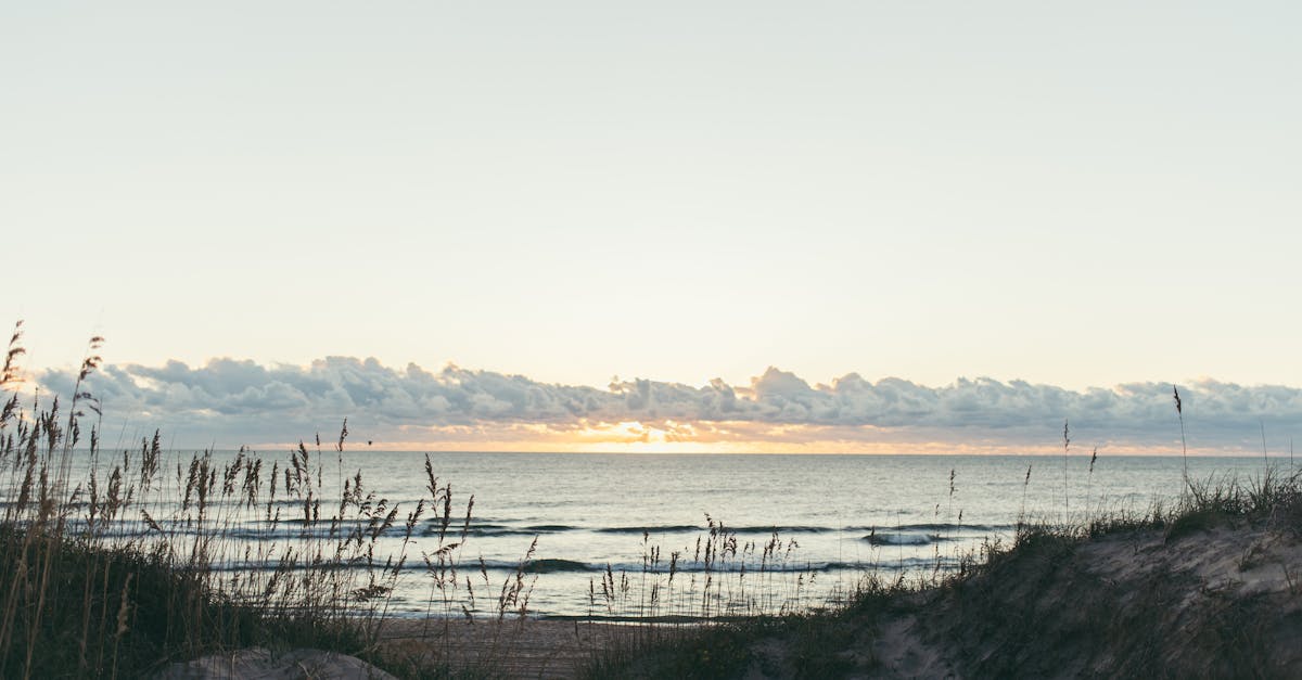 découvrez les magnifiques paysages de outer banks, une destination balnéaire emblématique des états-unis. plages de sable doré, activités nautiques et culture locale vous attendent pour des vacances inoubliables.
