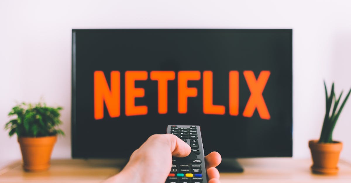 découvrez le meilleur du streaming : films, séries, documentaires et événements en direct. profitez d'une vaste sélection de contenus à portée de main et vivez des moments uniques en streaming !