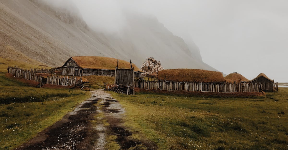 plongez dans l'univers épique de vikings: valhalla, la suite tant attendue qui suit les légendaires explorateurs nordiques dans leurs quêtes audacieuses et leurs affrontements. découvrez des histoires riches en action, aventures et héritage, dans une période où les dieux et les hommes se croisent.