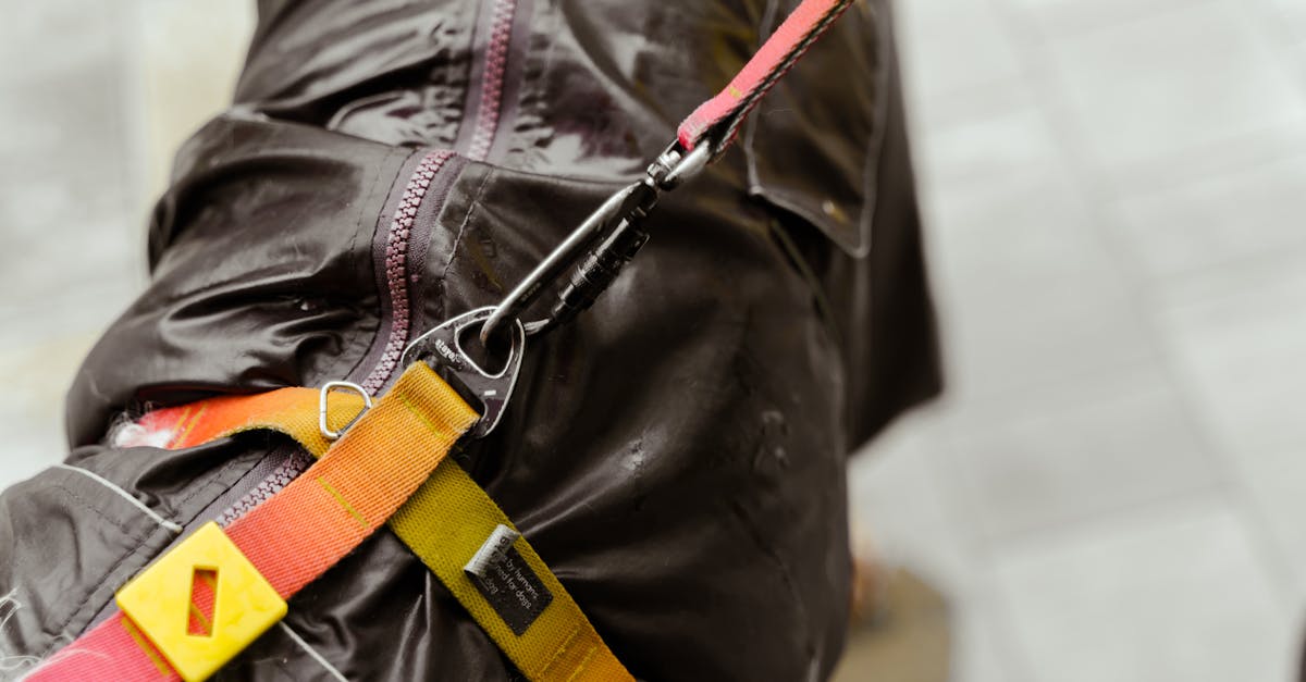 découvrez l'univers des fichiers zip : compression, décompression, et gestion de vos données en toute simplicité. apprenez à utiliser cet outil indispensable pour optimiser le stockage et le partage de vos fichiers.
