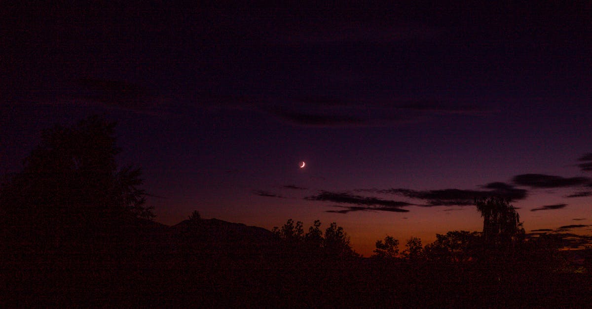 découvrez nos conseils et astuces pour réussir vos photos de la lune. maîtrisez la photographie lunaire, du choix du matériel aux réglages idéaux, et capturez des images époustouflantes du ciel nocturne.