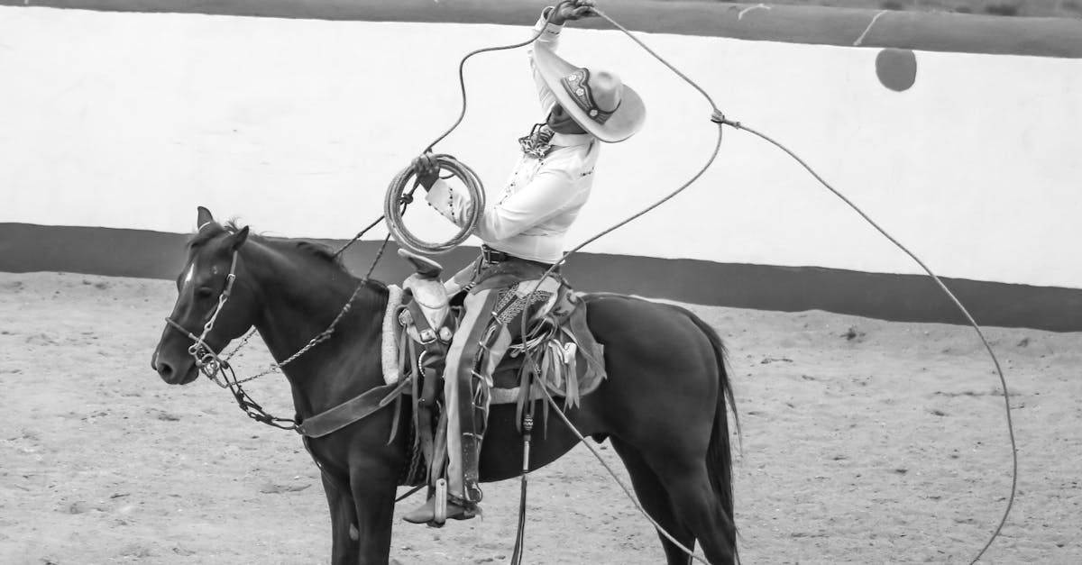 découvrez 'ted lasso', la série comique qui suit un entraîneur de football américain, ted, engagé pour diriger une équipe de foot anglaise malgré son manque d'expérience. un voyage drôle et touchant sur l'amitié, la détermination et la culture sportive.
