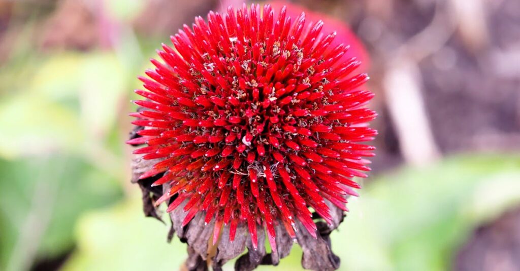 dall-e gratuit : comment utiliser l’IA pour créer des images sans frais ? découvrez dall-e, l'intelligence artificielle innovante d'openai capable de générer des images uniques à partir de descriptions textuelles. explorez son fonctionnement, ses applications et son impact sur la créativité visuelle.