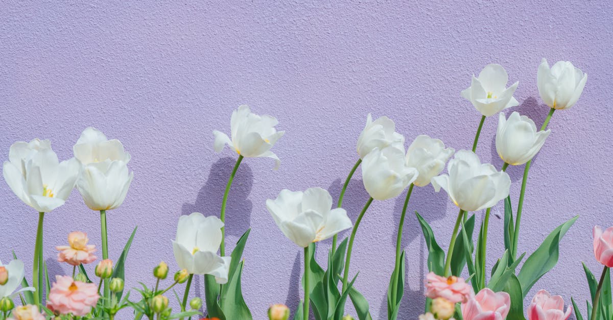 découvrez les meilleures stratégies de monétisation pour optimiser vos revenus en ligne. apprenez comment tirer profit de votre site web, blog ou application grâce à des techniques efficaces et adaptées à votre activité.