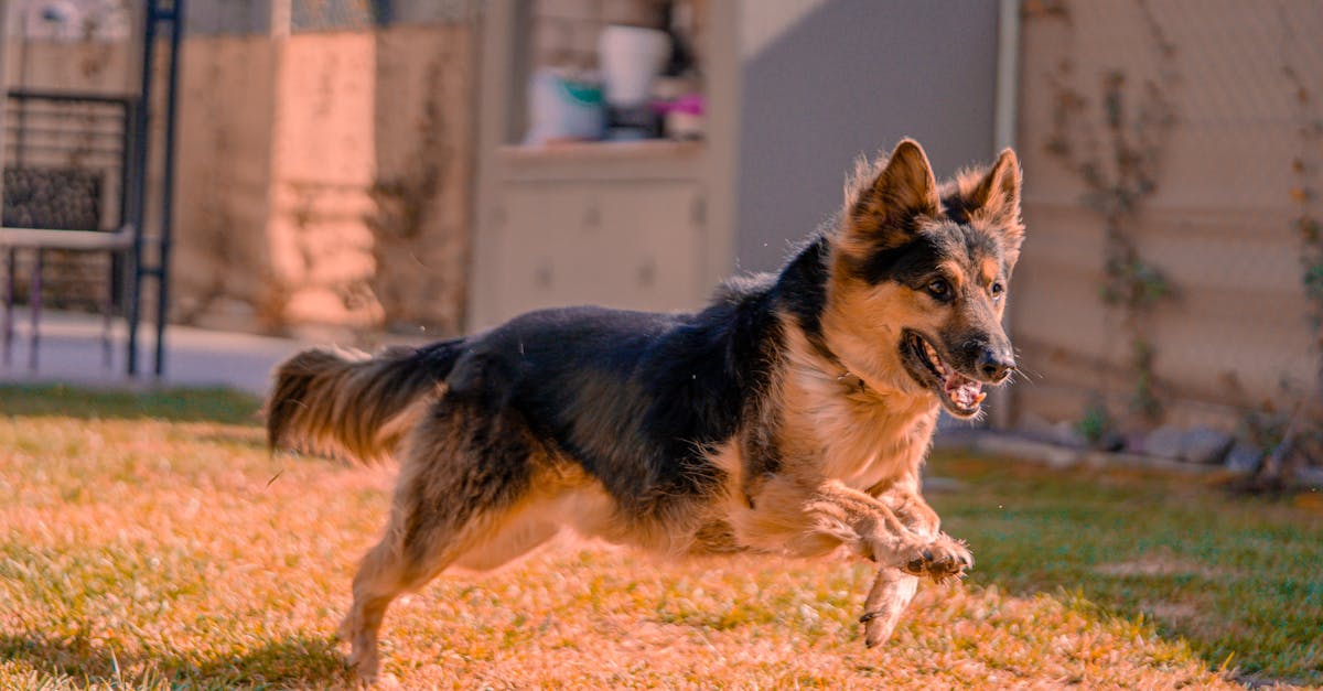 découvrez les meilleurs correcteurs d'orthographe gratuits pour améliorer votre écriture rapidement et facilement.