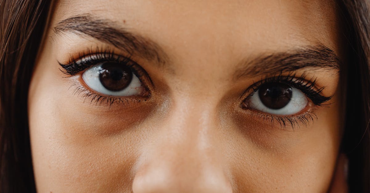 découvrez les fonctionnalités innovantes de bing pour améliorer votre recherche en ligne, avec des outils intuitifs et performants adaptés à tous vos besoins.