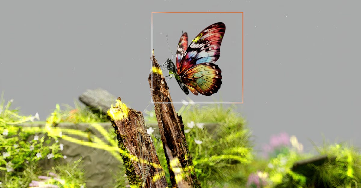 découvrez blackbox ai, l'outil innovant d'intelligence artificielle qui optimise la productivité, automatise les tâches et révolutionne la façon dont vous travaillez avec vos données.