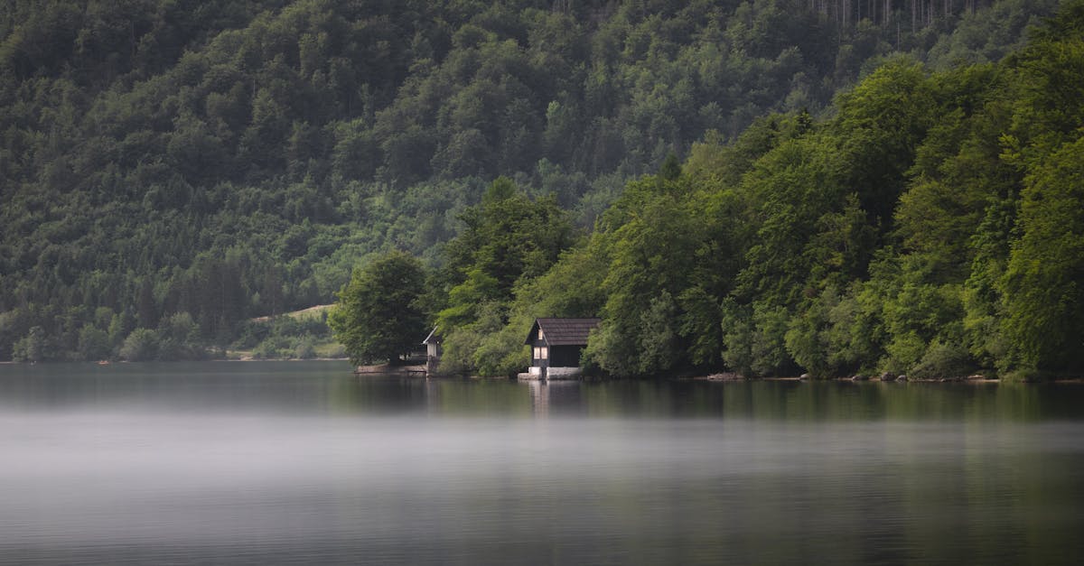 téléchargez rapidement et en toute sécurité vos fichiers préférés avec notre plateforme facile à utiliser.