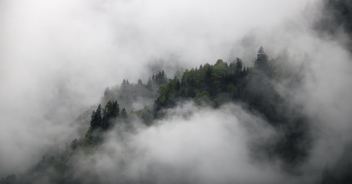 téléchargez facilement vos fichiers en toute sécurité grâce à notre plateforme rapide et fiable.