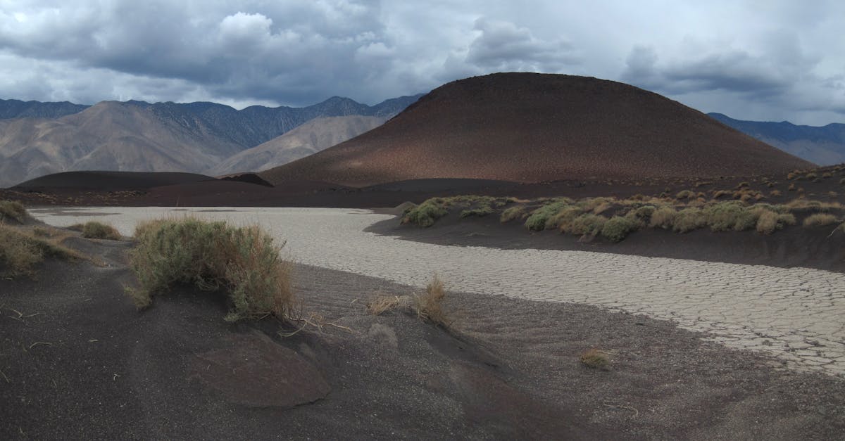 découvrez tout sur les tremblements de terre : causes, conséquences et conseils de sécurité pour mieux comprendre et se préparer.