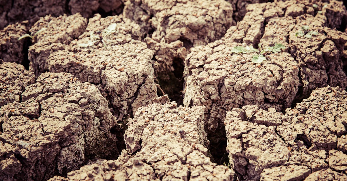 découvrez tout ce qu'il faut savoir sur les tremblements de terre : causes, prévention, conséquences et conseils pour rester en sécurité lors d'un séisme.