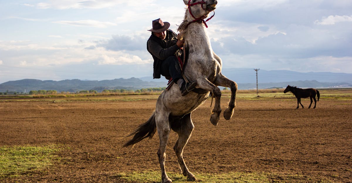 profitez de notre stockage cloud gratuit et sécurisé pour sauvegarder, accéder et partager vos fichiers facilement depuis n'importe où.