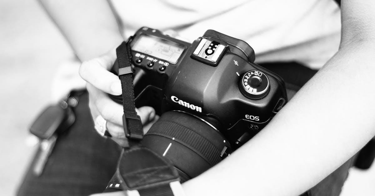 découvrez les fonctionnalités innovantes de google lens pour identifier des objets, traduire des textes, et explorer le monde qui vous entoure grâce à votre smartphone.