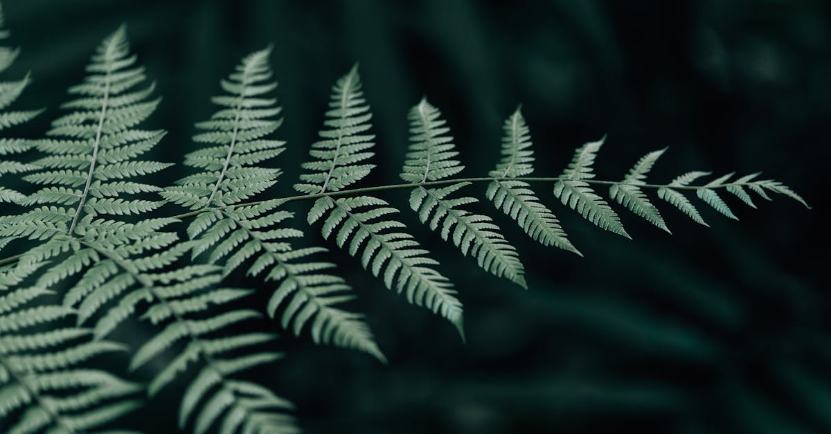 découvrez grok-4, la nouvelle génération de modèles d’intelligence artificielle développée par xai, offrant des performances avancées en compréhension et en génération de texte pour répondre à tous vos besoins numériques.