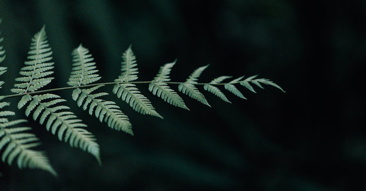 découvrez grok-4, l'intelligence artificielle de nouvelle génération, offrant des capacités avancées en traitement du langage naturel. idéal pour automatiser vos tâches et booster votre productivité.