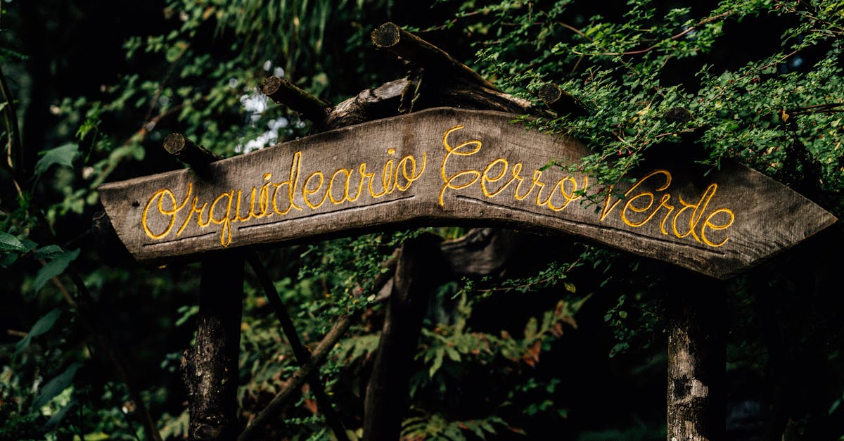 découvrez grok-4, la nouvelle génération de modèles d'intelligence artificielle développée pour offrir des réponses précises, rapides et adaptées à vos besoins en traitement du langage naturel.