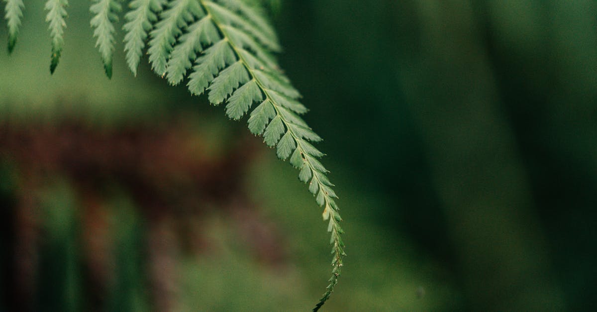 découvrez grok-4, une solution innovante d’intelligence artificielle offrant des performances avancées en traitement du langage naturel, pour transformer vos projets et automatiser vos tâches avec efficacité.