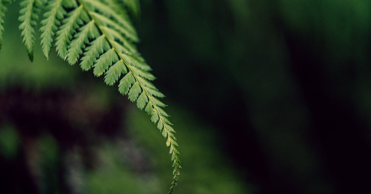 découvrez grok-4, le dernier modèle d’intelligence artificielle : performances avancées, compréhension contextuelle améliorée et applications innovantes. idéal pour automatiser, analyser et innover dans tous vos projets digitaux.