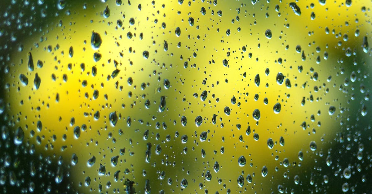 découvrez nos papiers peints en verre liquide pour un effet moderne et élégant, apportant brillance et profondeur à vos murs.