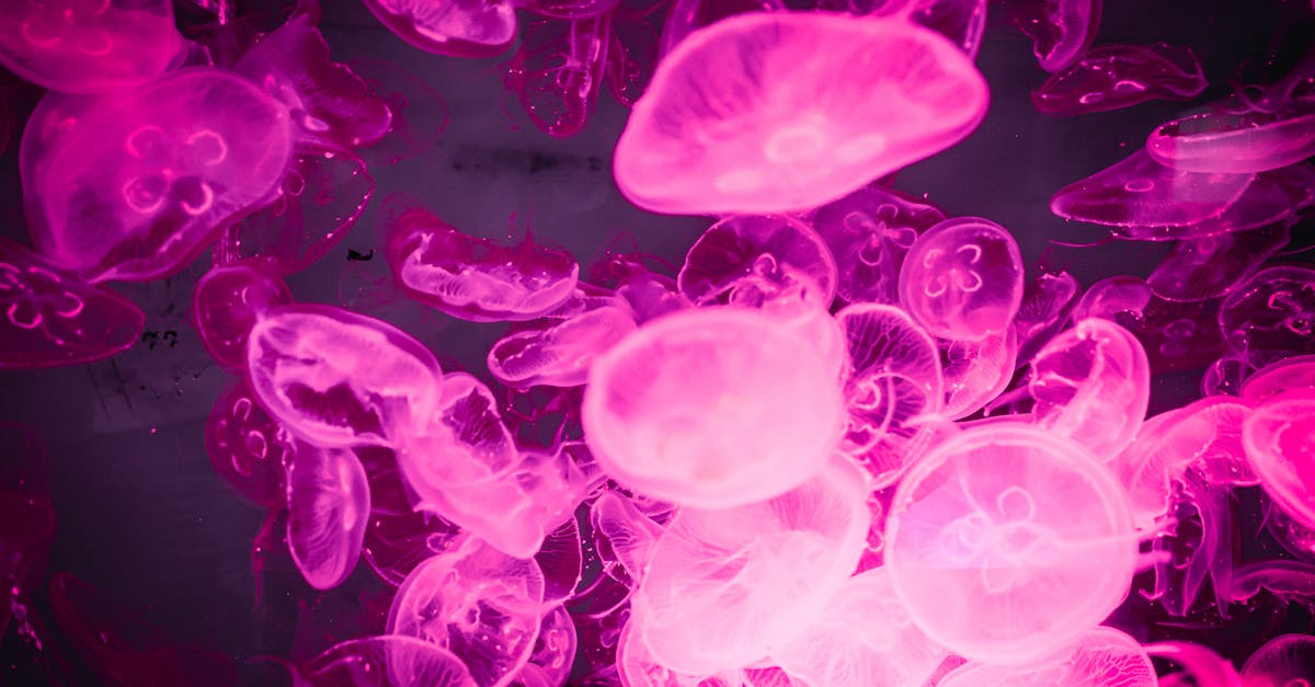 découvrez l'écran du oneplus 15 : une dalle amoled haute résolution offrant des couleurs vives, un taux de rafraîchissement fluide et une expérience visuelle immersive pour tous vos usages.