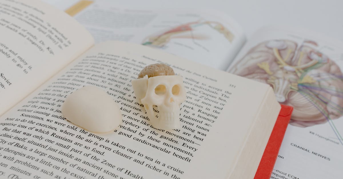 découvrez notre analyse complète de saily esim : fonctionnalité, compatibilité, avantages et inconvénients pour bien choisir votre solution de connectivité mobile.