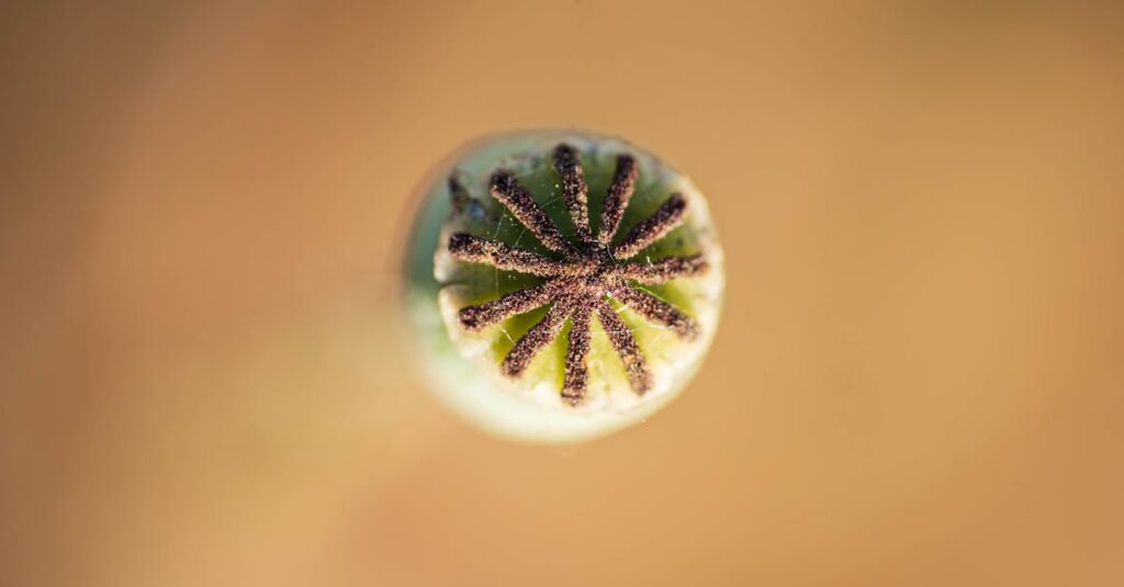 salesforce : tout ce qu’il faut savoir sur l’outil incontournable du CRM découvrez comment salesforce peut transformer votre gestion de la relation client grâce à ses solutions innovantes et personnalisables pour booster vos ventes et votre productivité.