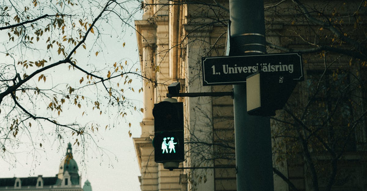 découvrez tout sur le concept de signal : définition, types, et applications dans divers domaines comme les télécommunications, l'électronique et la théorie de l'information.