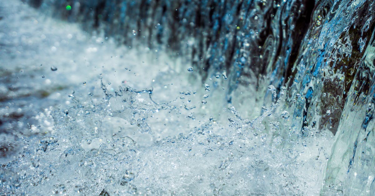 téléchargez rapidement et facilement vos fichiers préférés grâce aux torrents. accédez à une large sélection de contenus en toute sécurité et sans interruption.