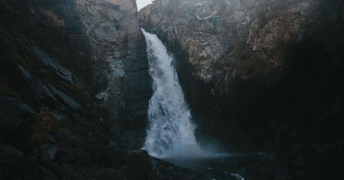 téléchargez et partagez facilement vos fichiers avec notre site de torrents rapide et sécurisé. accédez à une large bibliothèque de contenus variés.