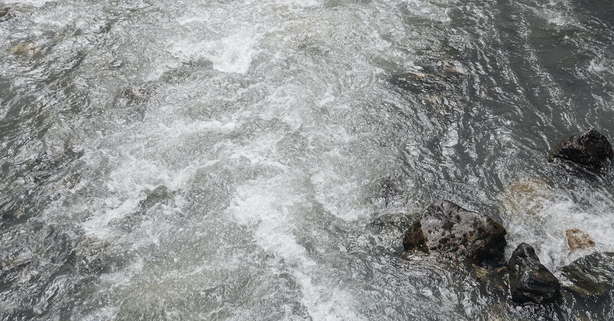 téléchargez et partagez facilement des fichiers via des torrents sécurisés et rapides. découvrez notre guide complet pour utiliser les torrents en toute sécurité.