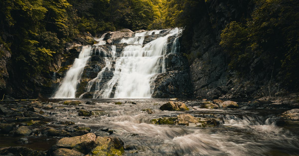 téléchargez et partagez des fichiers rapidement et facilement grâce aux torrents. accédez à une vaste bibliothèque de contenus multimédias en toute sécurité.
