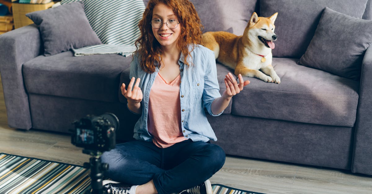 profitez de youtube sans publicité pour une expérience de visionnage fluide et ininterrompue.