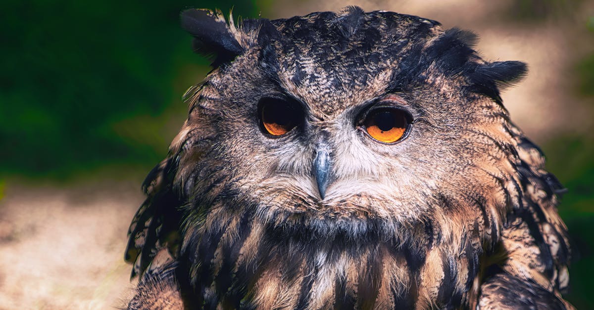 découvrez les solutions innovantes propulsées par l'intelligence artificielle pour optimiser vos performances et transformer votre activité.