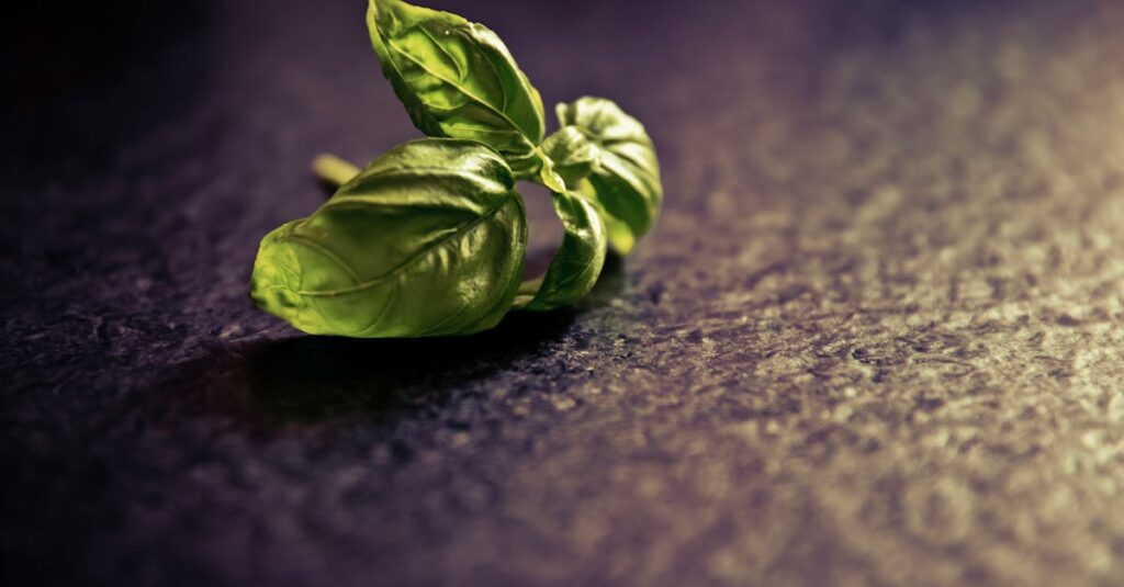 découvrez apache cassandra, une base de données nosql distribuée, conçue pour gérer de grandes quantités de données avec haute disponibilité et scalabilité.