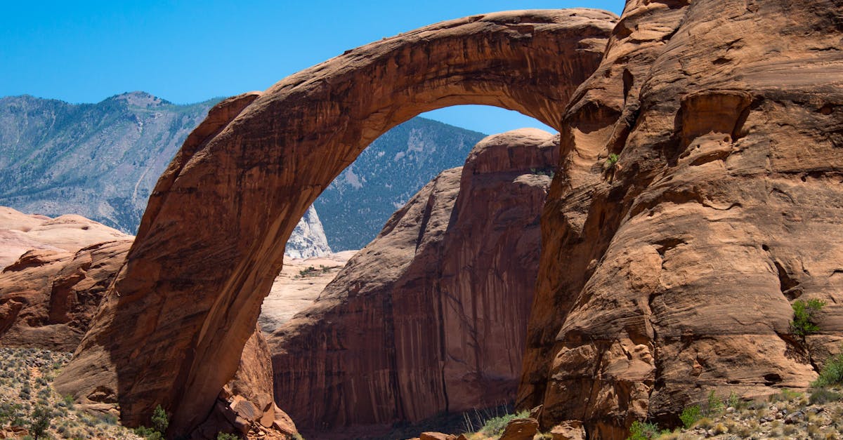 découvrez apache cassandra, une base de données nosql distribuée et scalable, idéale pour gérer de grandes quantités de données en temps réel avec une haute disponibilité.