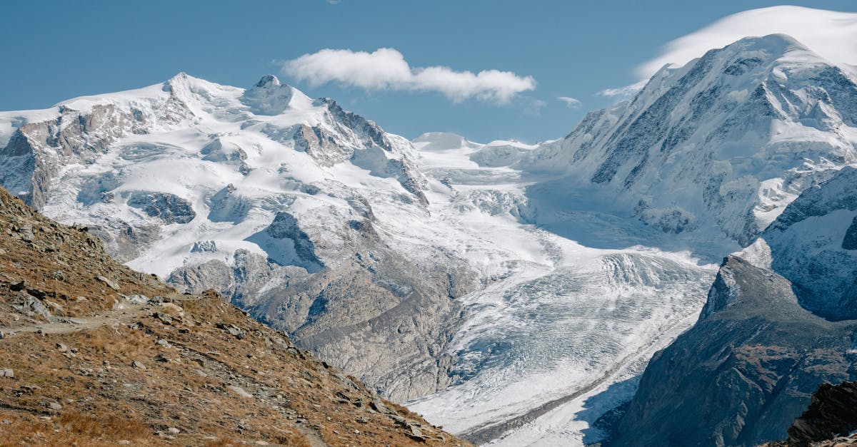 générez des images uniques et créatives en ligne avec bing image generator, l'outil facile et rapide pour vos besoins visuels.