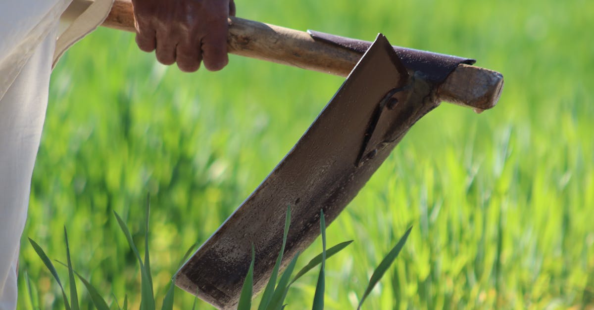 découvrez comment les business technologists allient expertise métier et compétences technologiques pour transformer les entreprises et stimuler l'innovation.