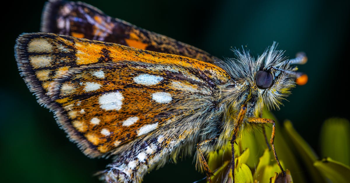 abonnez-vous à chatgpt pro pour bénéficier de réponses plus rapides, d'un accès prioritaire et de fonctionnalités avancées pour améliorer votre expérience d'ia.
