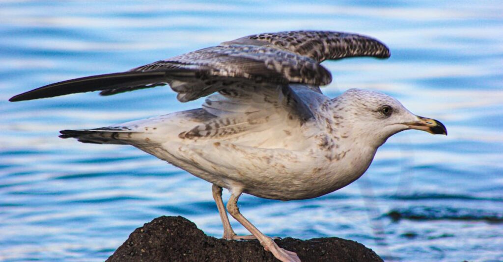 découvrez une large sélection d'avatars gratuits pour personnaliser vos profils en ligne et réseaux sociaux facilement.