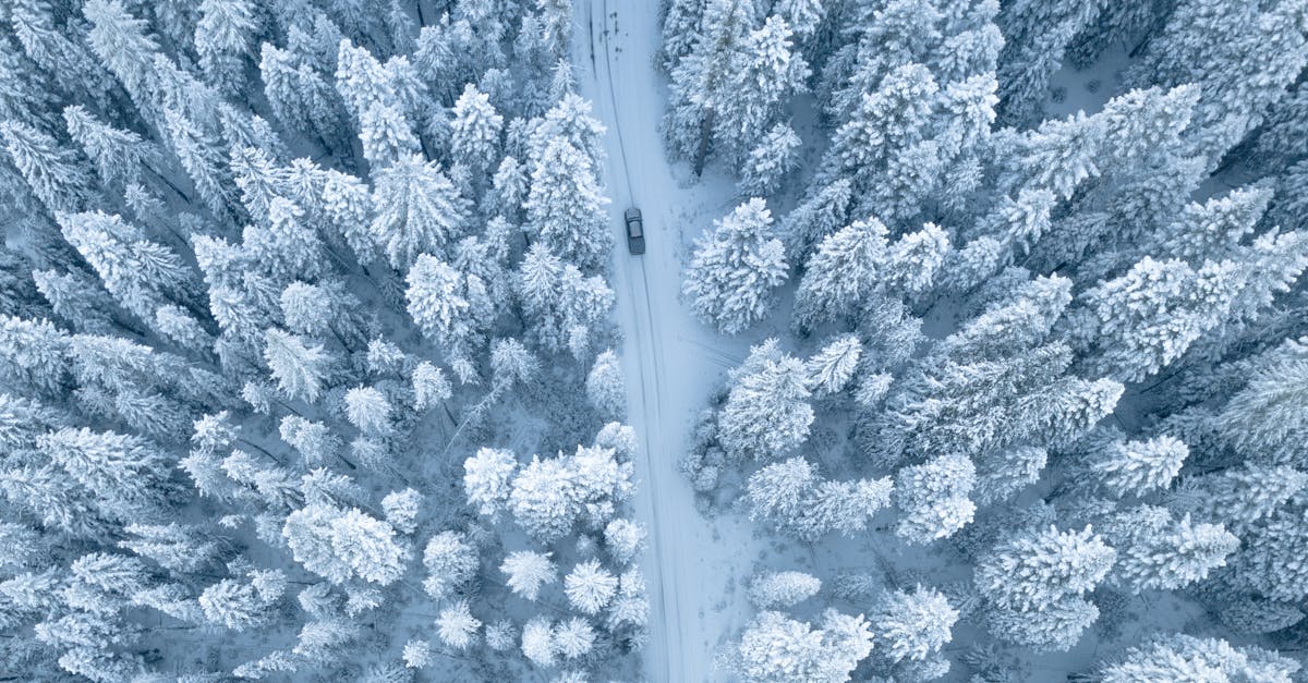 découvrez snowflake, la plateforme cloud innovante pour la gestion et l'analyse de données à grande échelle, alliant performance, sécurité et flexibilité.