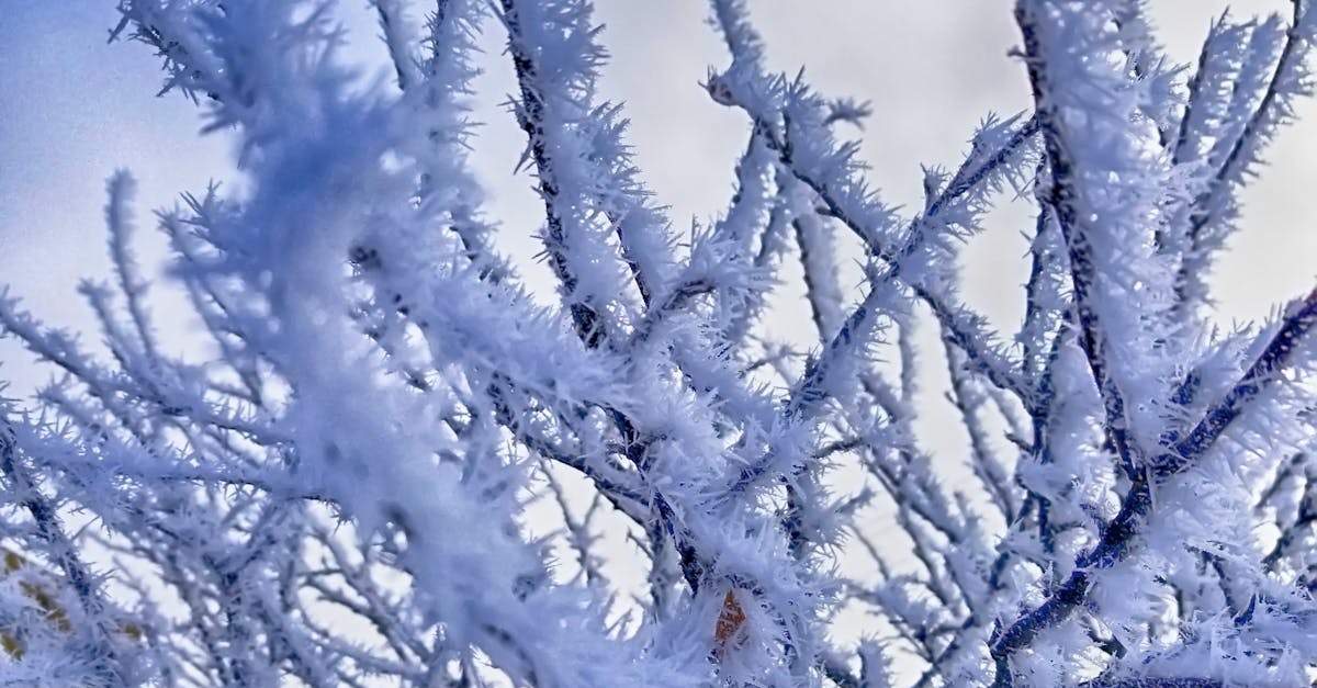 découvrez snowflake, la plateforme cloud innovante pour la gestion et l'analyse des données à grande échelle, offrant performance, flexibilité et sécurité.