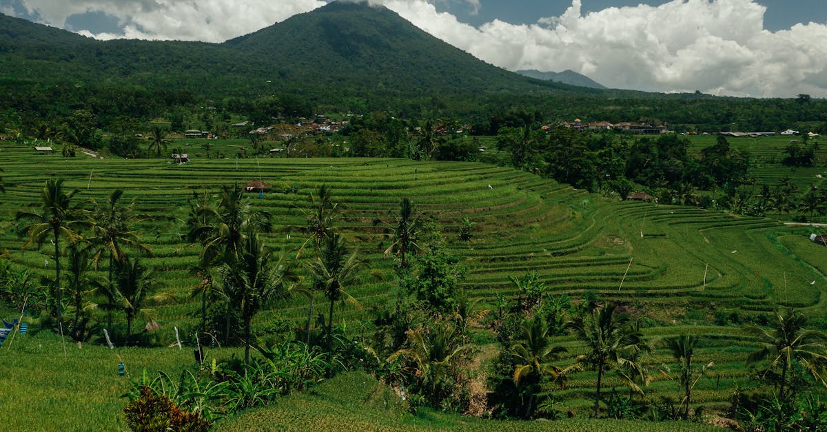 découvrez tout sur spof (single point of failure) : définition, implications et solutions pour sécuriser vos systèmes informatiques et assurer leur fiabilité.