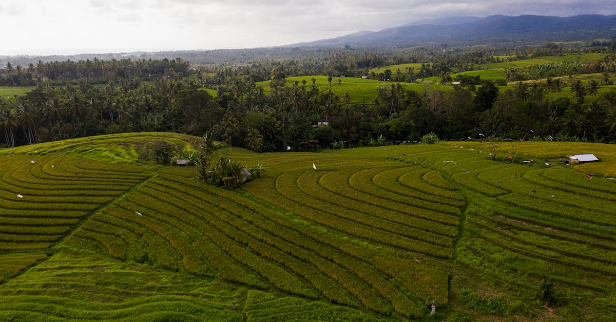 découvrez tout sur spof (single point of failure) : définition, impacts et solutions pour renforcer la résilience de vos systèmes informatiques.