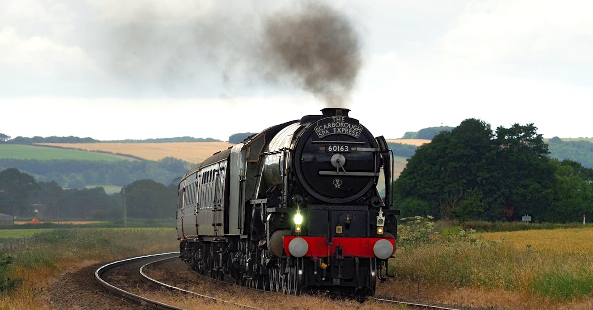 améliorez la vitesse de téléchargement sur steam grâce à nos astuces et conseils simples pour profiter rapidement de vos jeux préférés.