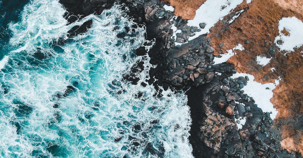 découvrez tout sur tor, le réseau mondial qui assure l'anonymat et la confidentialité en ligne. protégez votre vie privée sur internet grâce à tor.