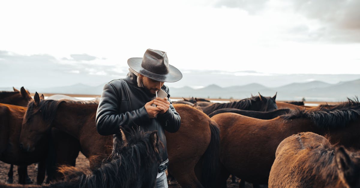 découvrez les solutions de stockage innovantes de western digital, leader mondial des disques durs, ssd et solutions de mémoire pour particuliers et professionnels.