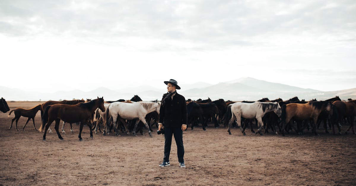 découvrez les solutions de stockage western digital : disques durs, ssd et accessoires fiables pour sauvegarder et optimiser vos données.